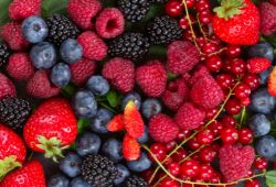 Berries